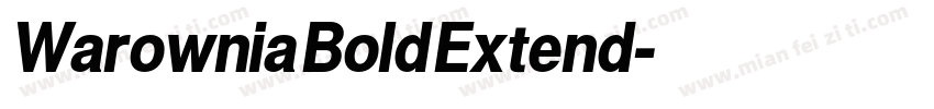 Warownia Bold Extend字体转换